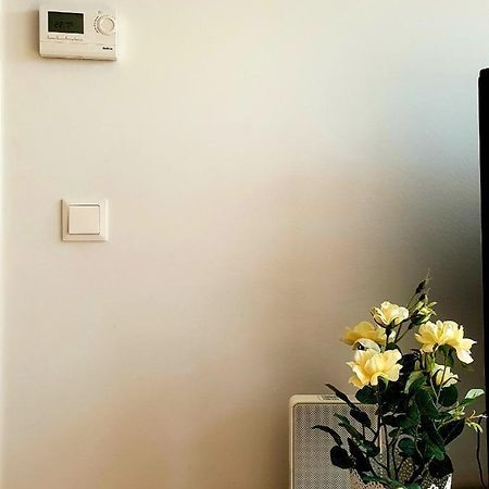 Near Lake Two Bedroom Fully Furnished Apartment 维也纳 外观 照片