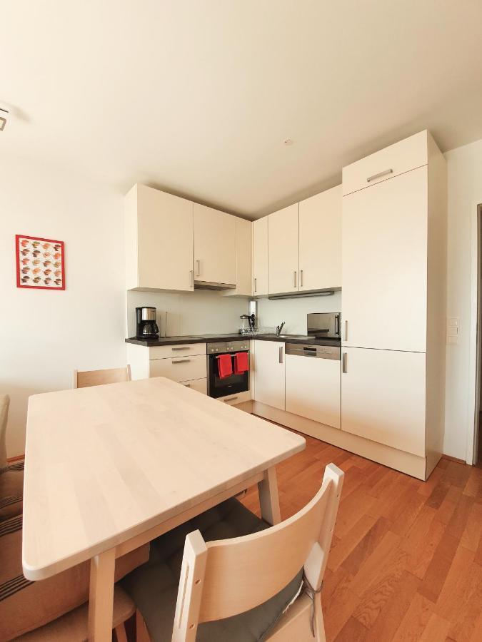 Near Lake Two Bedroom Fully Furnished Apartment 维也纳 外观 照片